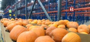 Read more about the article Comprehending the need for Sustainable Farming Storage Solutions in Modern Challenging Times