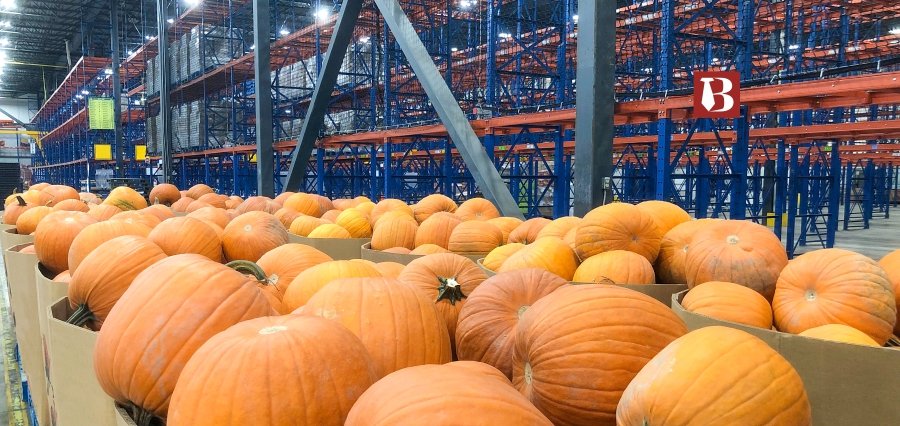 Comprehending the need for Sustainable Farming Storage Solutions in Modern Challenging Times